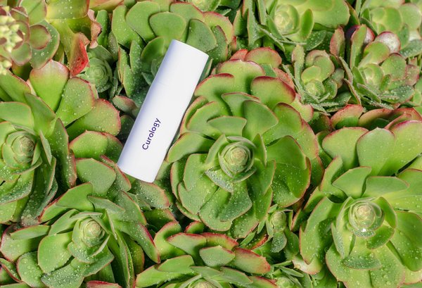 Quels sont les pouvoirs de la naturopathie pour booster sa vitalité ?